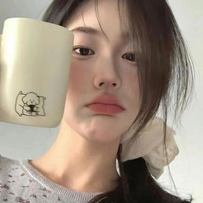 谍网纵横